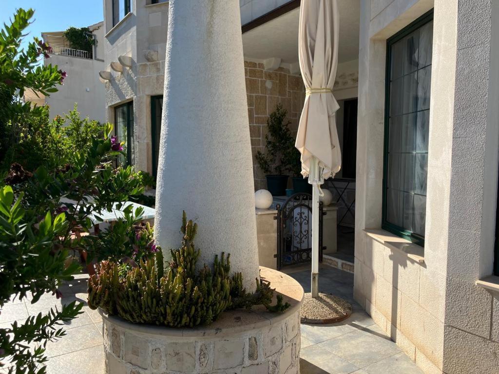 Apartments Villa Domus Marini ฮวาร์ ห้อง รูปภาพ